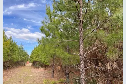 7 Fm 1746, Spurger, TX 77660 - Photo 13