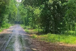 1218 Co Rd 722, Buna, TX 77612 - Photo 5