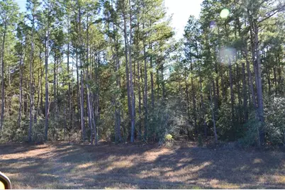 Tract #1 Sh 249, Navasota, TX 77868 - Photo 19