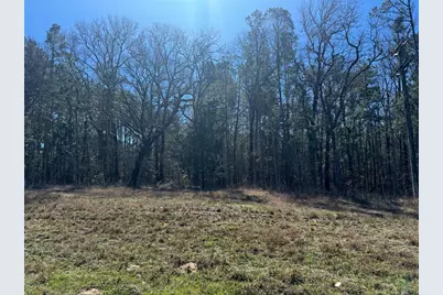 Tbd US 190, Point Blank, TX 77364 - Photo 3