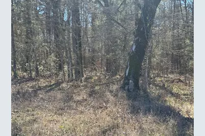 Tbd US 190, Point Blank, TX 77364 - Photo 7