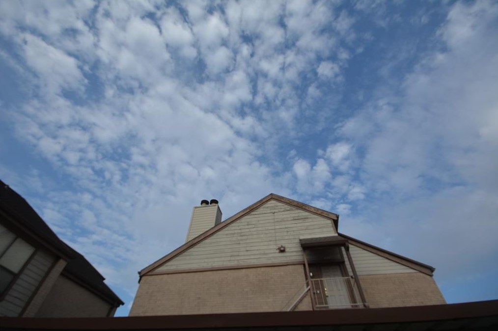 8263 Sands Point Dr, Houston TX  77036-2764 exterior