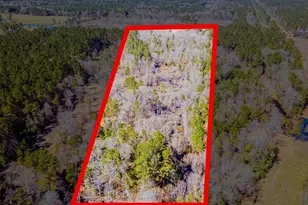 0 Shepherd Tram Dr, Shepherd, TX 77371 - Photo 1