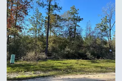 15723 Woodlife Road, Willis, TX 77378 - Photo 7