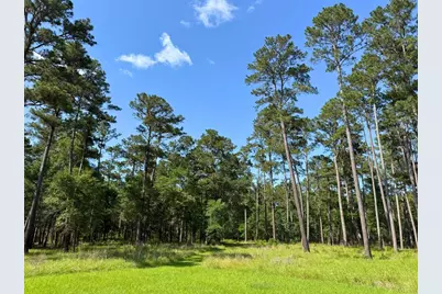 0 Fm 1791, Richards, TX 77873 - Photo 13