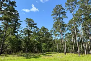 0 FM 1791, Richards, TX 77873 - Photo 13