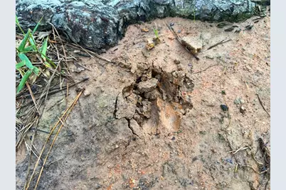 0 Fm 1791, Richards, TX 77873 - Photo 21