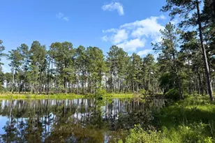 0 FM 1791, Richards, TX 77873 - Photo 17