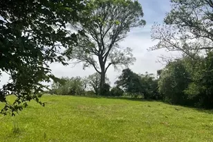 00 Riverside Plantation Ln, Chappell Hill, TX 77426 - Photo 1