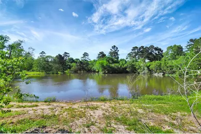 19830 Turtle Dove Lane, Magnolia, TX 77355 - Photo 11