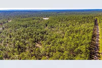 0314 Sportsman Retreat Road, Onalaska, TX 77360 - Photo 17