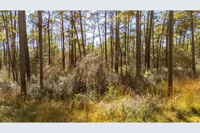 0314 Sportsman Retreat Road, Onalaska, TX 77360 - Photo 7