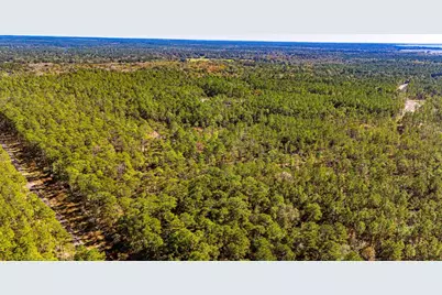 0314 Sportsman Retreat Road, Onalaska, TX 77360 - Photo 3