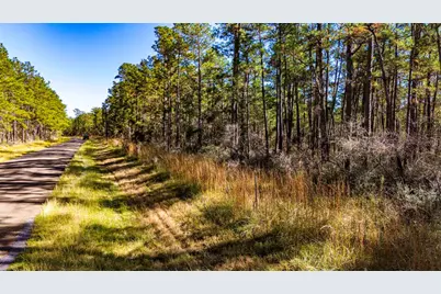 0314 Sportsman Retreat Road, Onalaska, TX 77360 - Photo 9