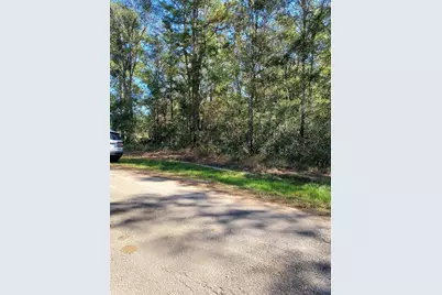 Tbd County Road 349, Cleveland, TX 77327 - Photo 3