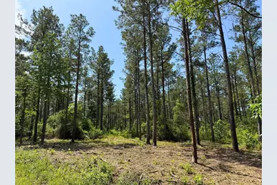 1 Camp Ruby Road, Livingston, TX 77351 - Photo 5