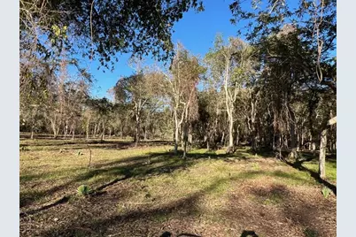 519 County Road 849, Brazoria, TX 77422 - Photo 3