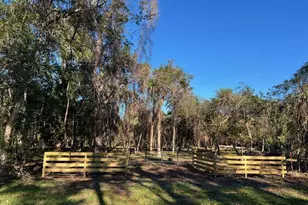 519 County Rd 849, Brazoria, TX 77422 - Photo 1