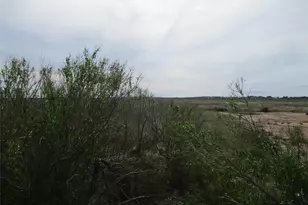 000 Cr 299 Heron, Sargent, TX 77414 - Photo 1