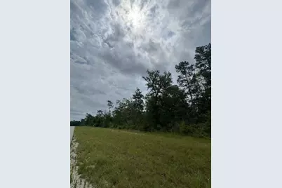340 Iron Horse Road, Willis, TX 77378 - Photo 3