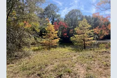 Tbd County Road 21681 East Off 223, Cleveland, TX 77327 - Photo 1