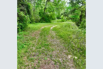 Tbd County Road 21681 East Off 223, Cleveland, TX 77327 - Photo 13