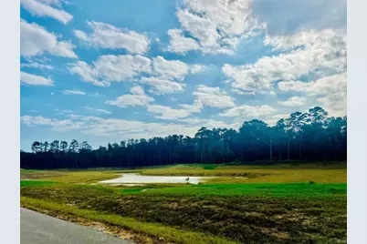 1153 County Road 6324, Dayton, TX 77535 - Photo 5