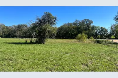 Lot 4 Cr 319, Navasota, TX 77868 - Photo 1