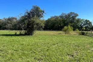 Lot 4 Cr 319, Navasota, TX 77868 - Photo 1