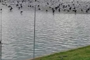 336 River Oaks Dr, Trinity, TX 75862 - Photo 23