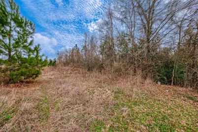 0 Road 3556, Cleveland, TX 77327 - Photo 19