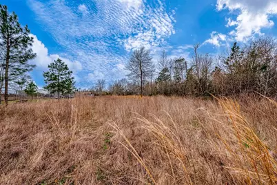 0 Road 3556, Cleveland, TX 77327 - Photo 17