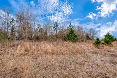 0 Road 3556, Cleveland, TX 77327 - Photo 23