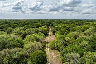 3814 Co Rd 19, Hallettsville, TX 77964 - Photo 9