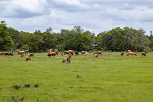 3814 Co Rd 19, Hallettsville, TX 77964 - Photo 23