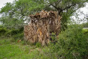 3814 Co Rd 19, Hallettsville, TX 77964 - Photo 39