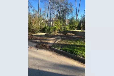 409 Wagers Street, Conroe, TX 77301 - Photo 19