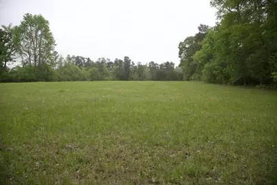 185 Hearne Road, Corrigan, TX 75939 - Photo 5