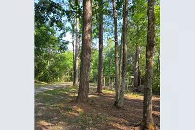 14068 Tower Glen Drive, Conroe, TX 77306 - Photo 19