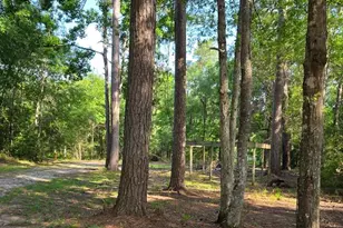 14068 Tower Glen Dr, Conroe, TX 77306 - Photo 19