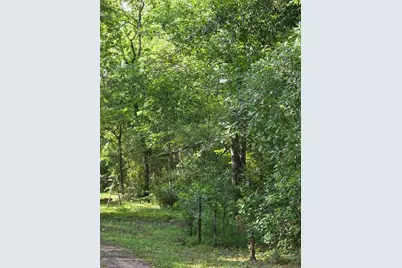 14068 Tower Glen Drive, Conroe, TX 77306 - Photo 17