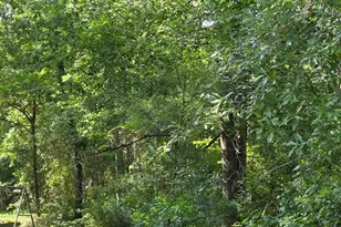 14068 Tower Glen Dr, Conroe, TX 77306 - Photo 17