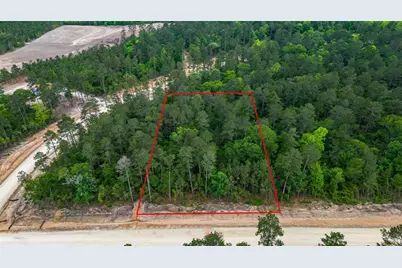 15583 Wood Grove Way, Willis, TX 77378 - Photo 1