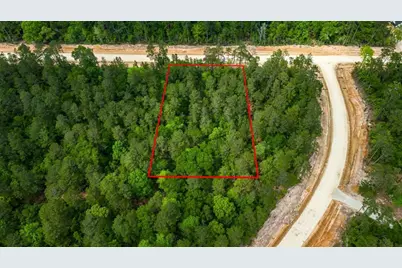 15583 Wood Grove Way, Willis, TX 77378 - Photo 5