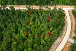 15583 Wood Grv Wy, Willis, TX 77378 - Photo 5