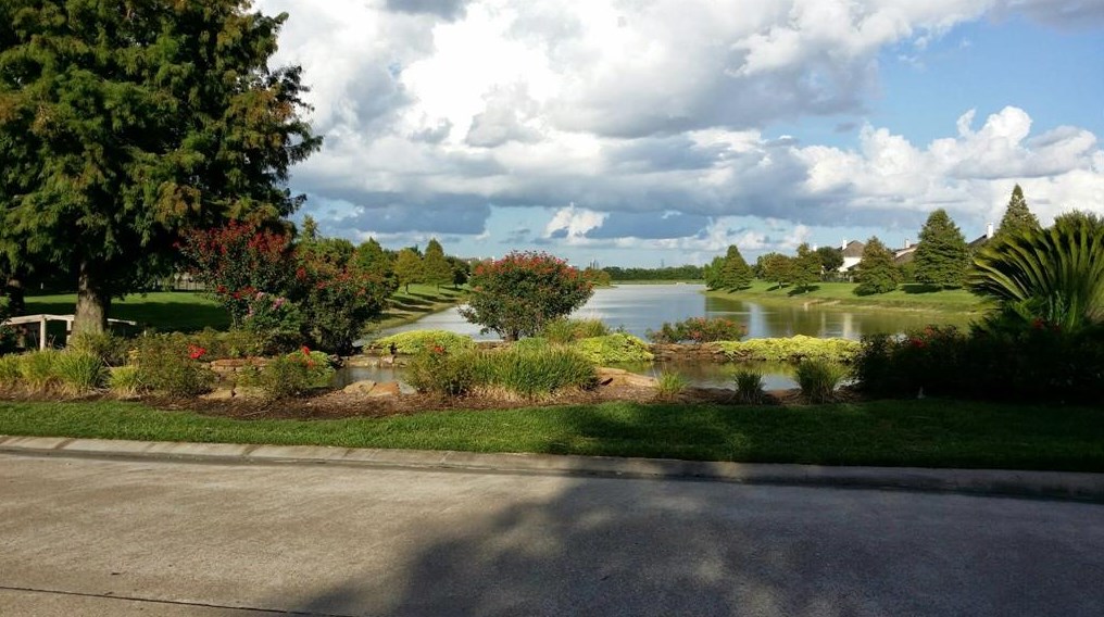 12447 Shady Downs Dr, Houston TX  77082-5657 exterior