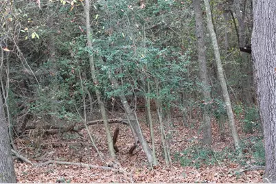 225 Dailey Road, Crockett, TX 75835 - Photo 9