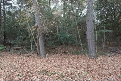 225 Dailey Road, Crockett, TX 75835 - Photo 7