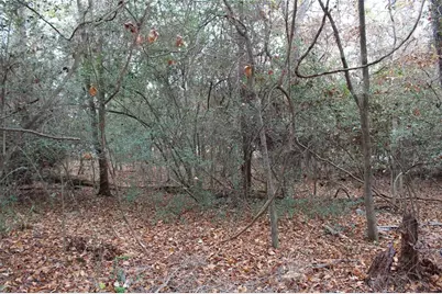 225 Dailey Road, Crockett, TX 75835 - Photo 3