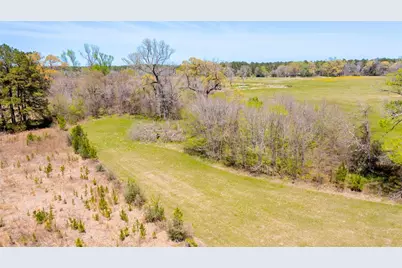 0 Davidson Road, Huntsville, TX 77320 - Photo 19